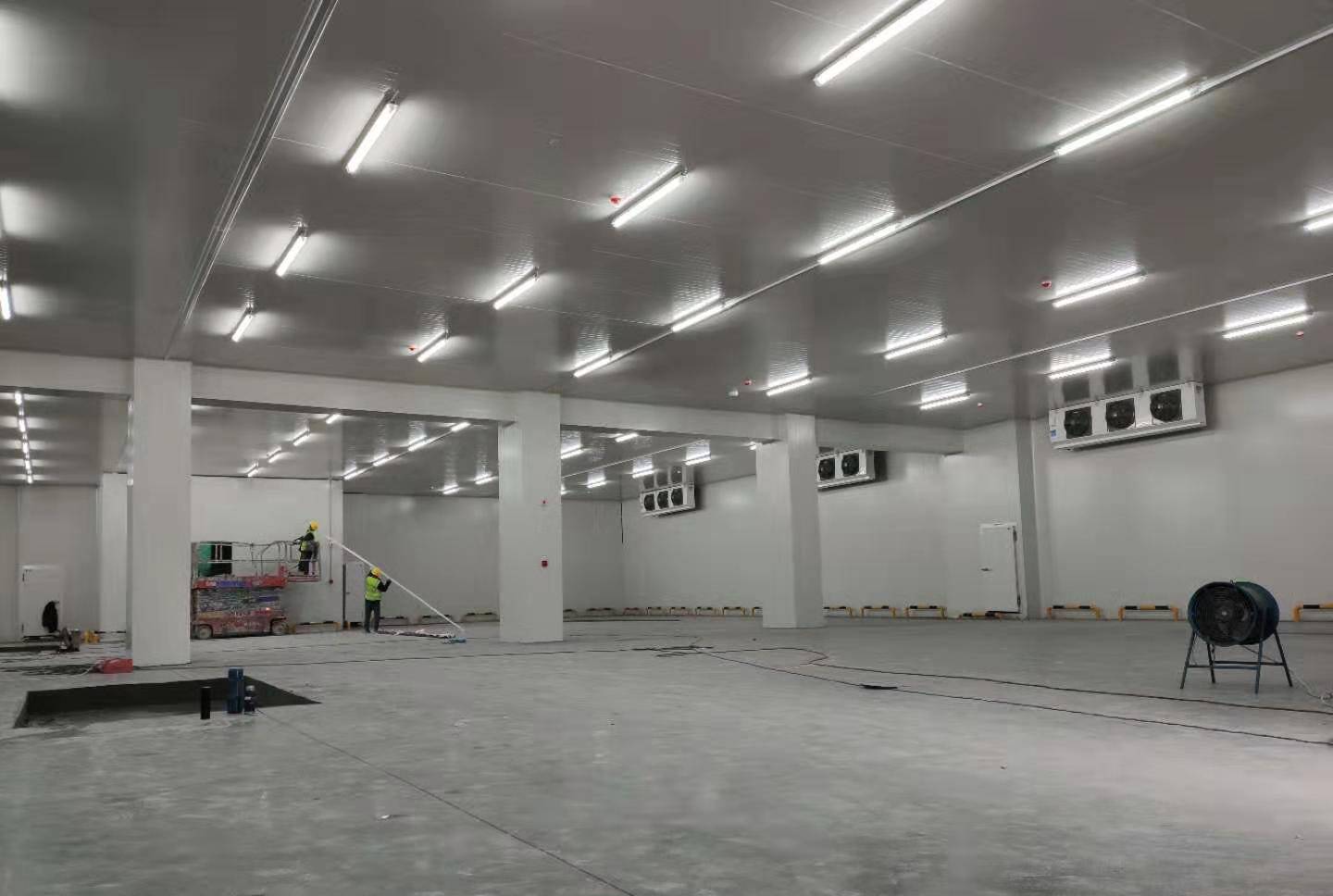 大型海鮮低溫冷藏庫 大型海鮮低溫冷藏庫