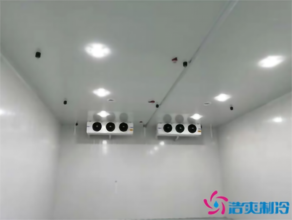 建造彩椒保鮮冷庫安裝費用需要多少錢? 建造彩椒保鮮冷庫安裝費用需要多少錢?