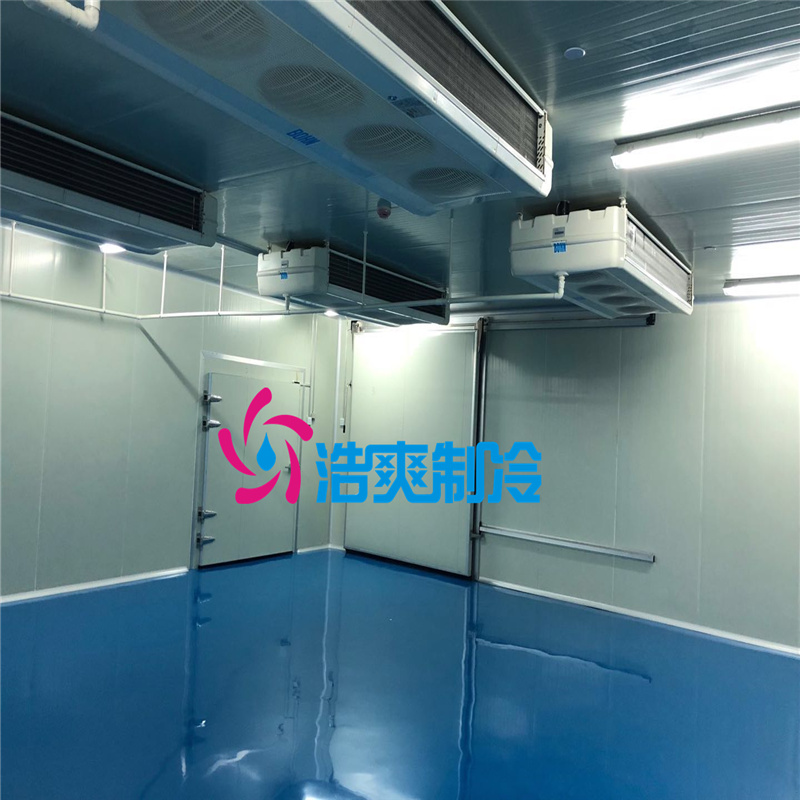 建造醫用保鮮冷庫設計特點及優勢有哪些？