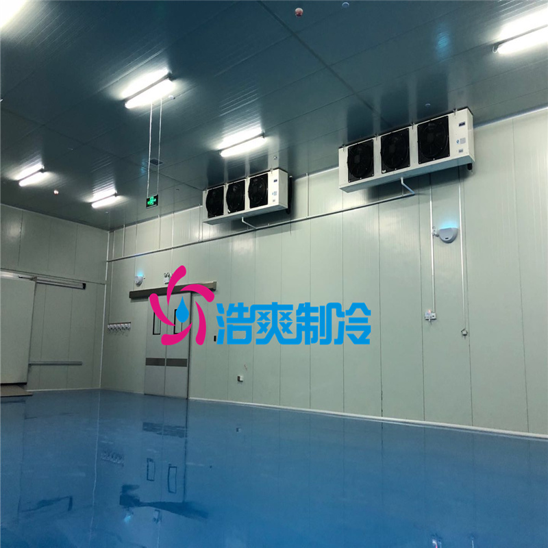 建造醫用保鮮冷庫設計特點及優勢有哪些？