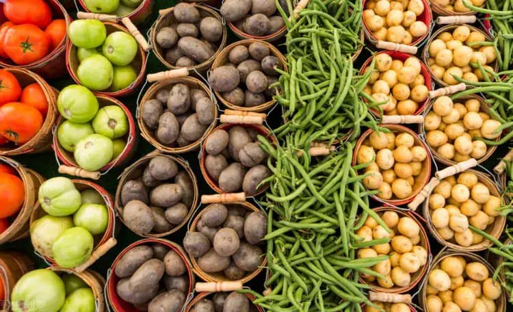 蔬菜冷庫的五種預冷方式介紹 蔬菜冷庫的五種預冷方式介紹