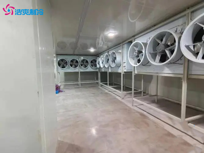 速凍冷庫的儲藏效果及使用好處有哪些？