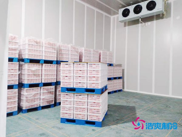 氣調保鮮冷庫內(nèi)景圖