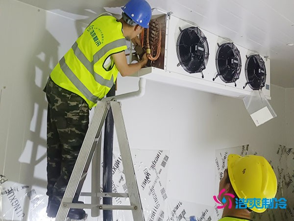 建造一個300平方米的冷凍庫造價需要多少資金投入呢？