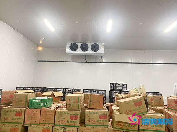 建設大型冷庫造價成本需要多少資金投入呢?