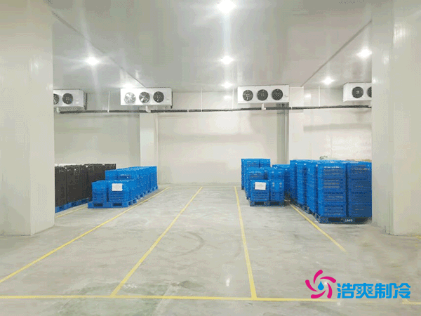建設一個海鮮低溫冷庫造價多少錢一平方?