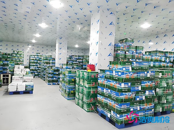 浙江紹興建設果蔬保鮮冷庫的費用大概多少錢？