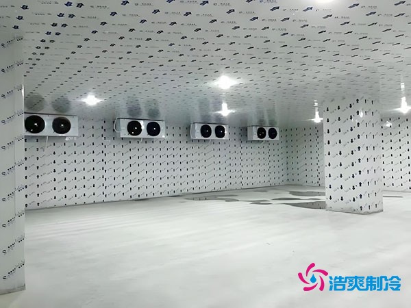 在市區建設一個100平方米的冷庫需要多少費用?