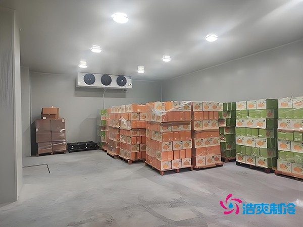 1000噸果蔬保鮮庫造價揭秘,節(jié)省成本就靠這幾點!