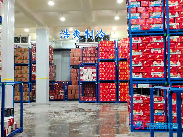 500平果蔬冷庫造價曝光！35萬起建，省錢秘訣在這里！