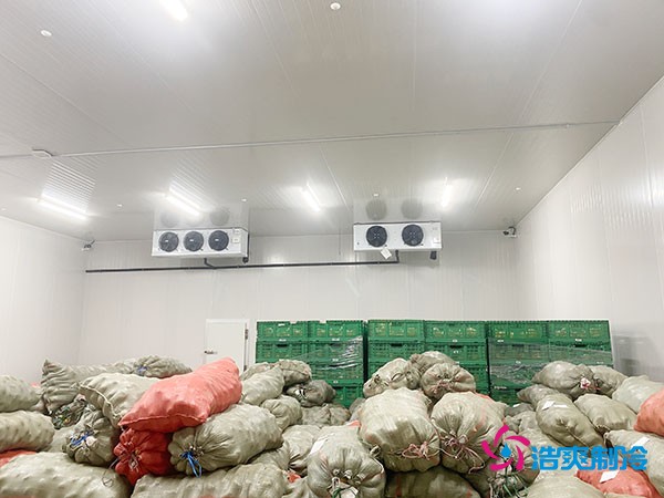 500平果蔬冷庫造價曝光！35萬起建，省錢秘訣在這里！