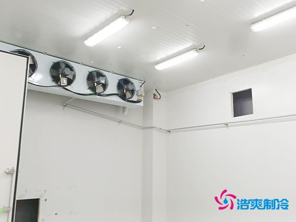 上海小型冷庫造價揭秘！2萬起真的靠譜嗎？