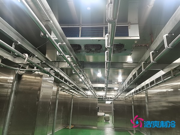 肉類冷庫建造費用及設計解析