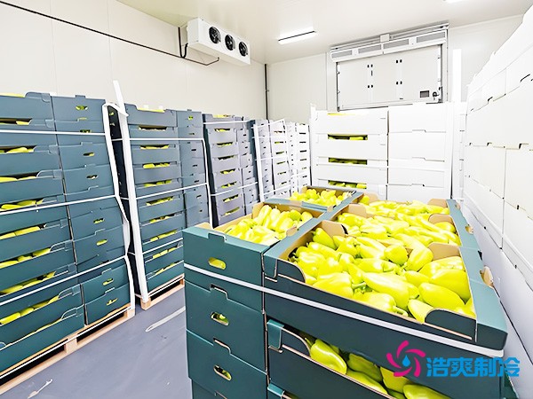 氣調保鮮冷庫造價
