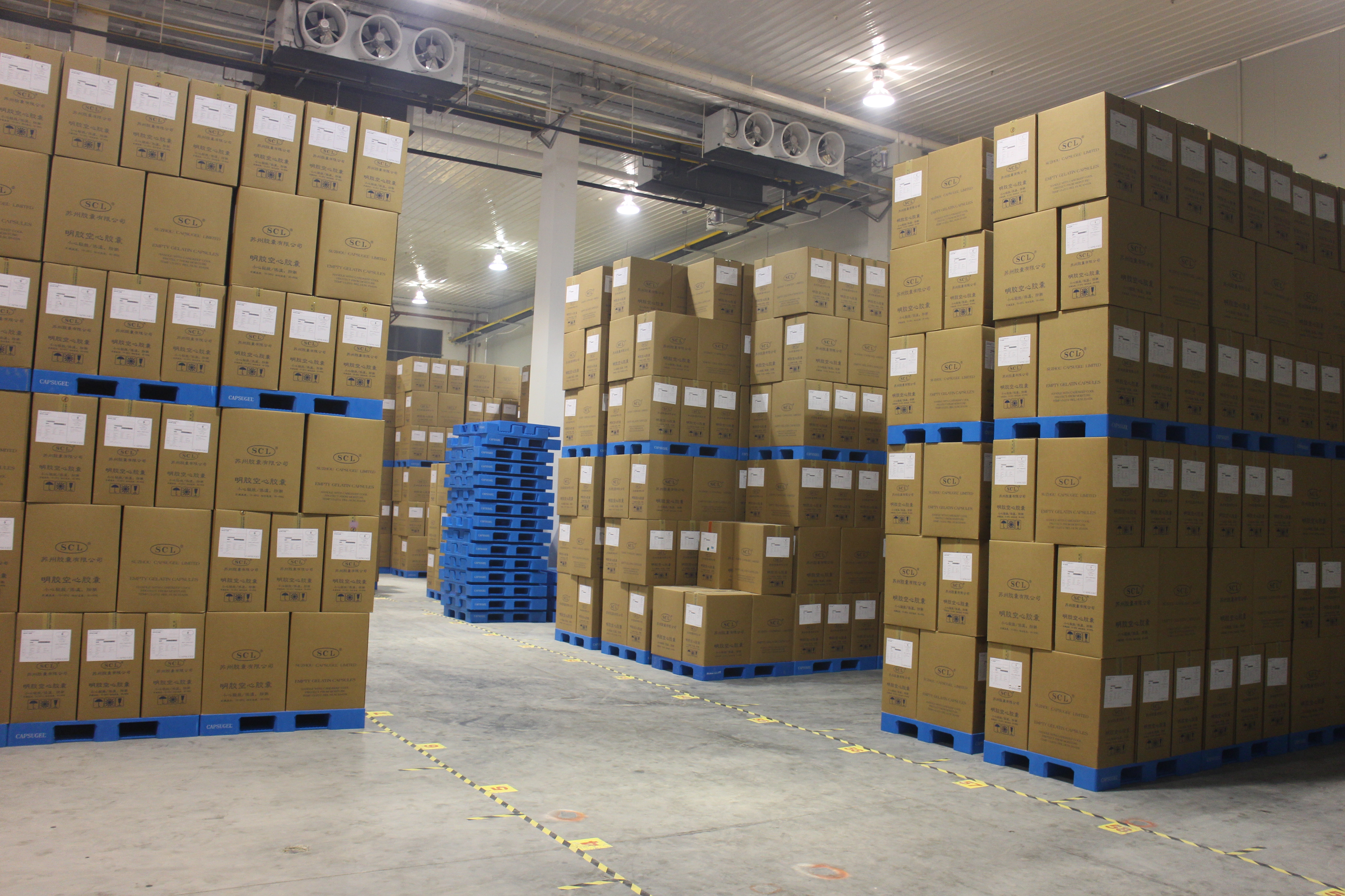 300噸蔬菜恒溫庫(kù)