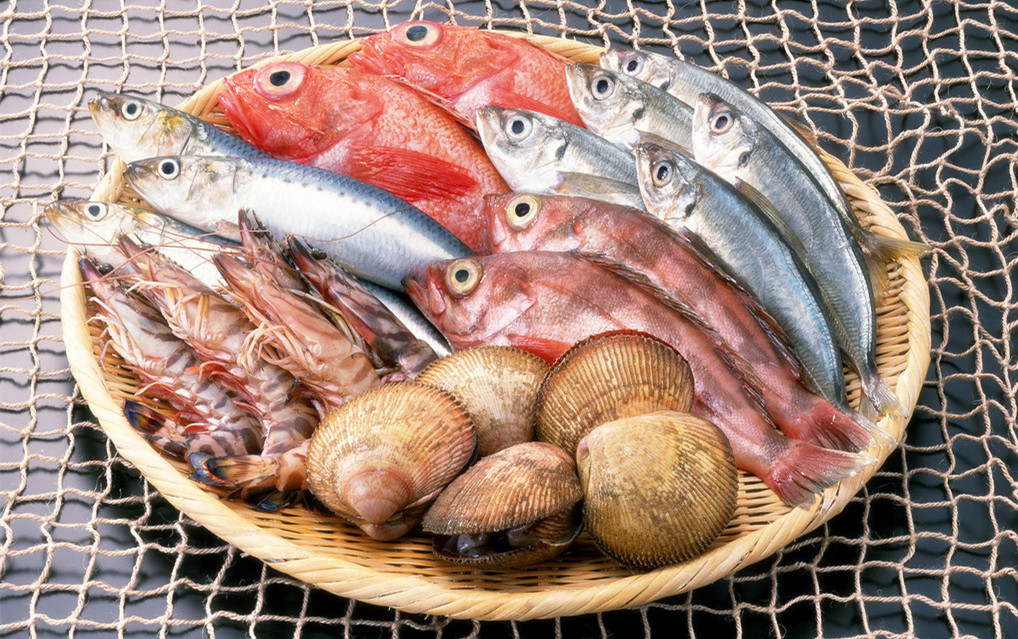 冰鮮海鮮冷庫造價(jià),5000平方米冷凍庫總投資多少