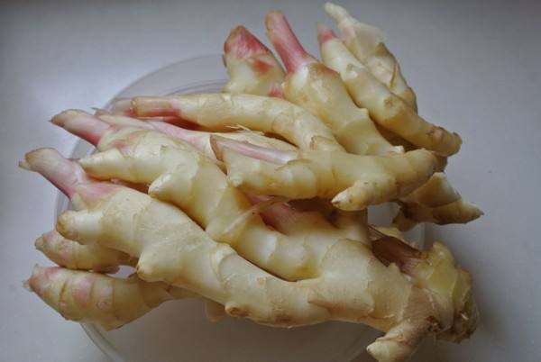 3000噸鮮姜冷庫前期規(guī)劃,冷庫造價預(yù)算多少