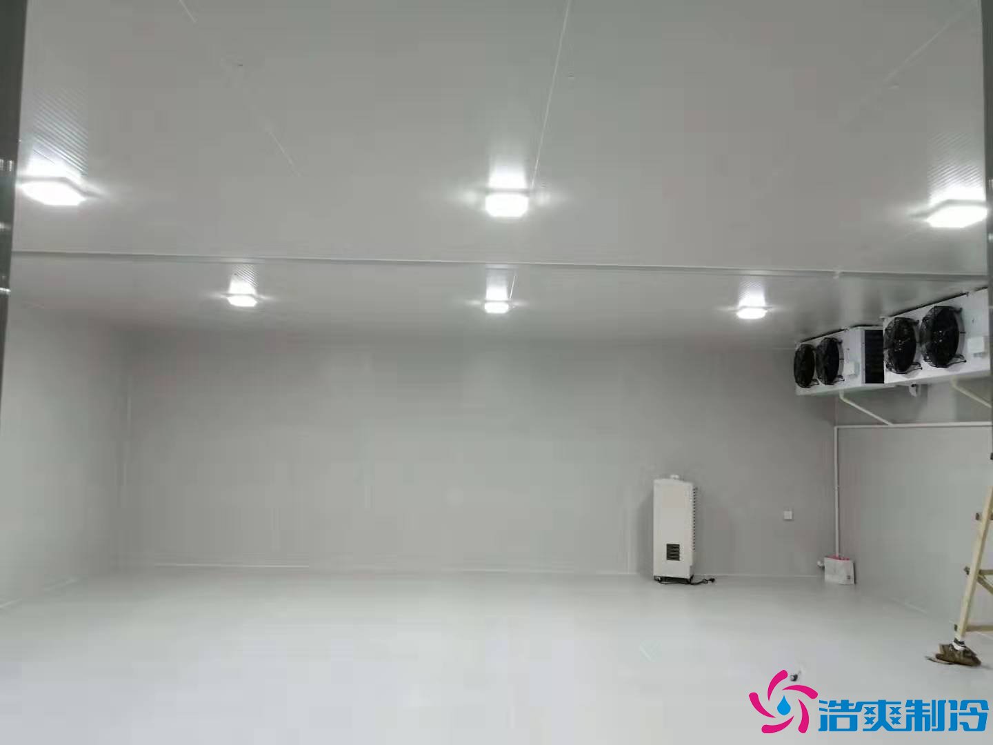 上?；蛏?000m3生物制品冷庫（冷凍、冷藏）新建工程案例