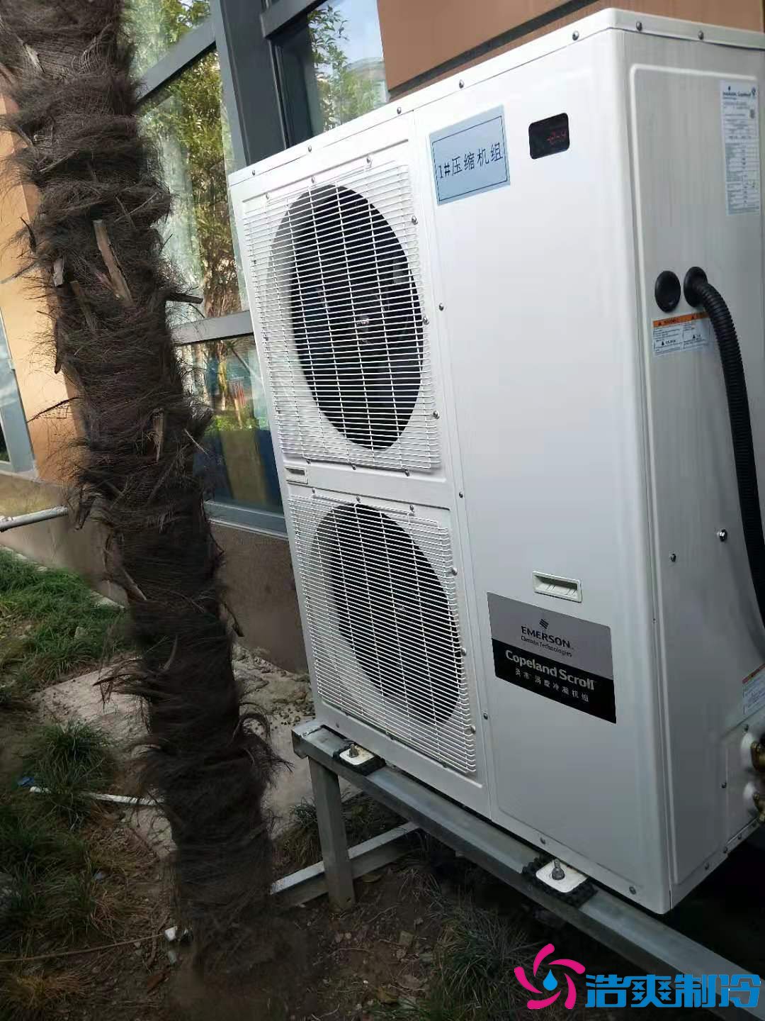 上海基因生物1000m3生物制品冷庫（冷凍、冷藏）新建工程案例