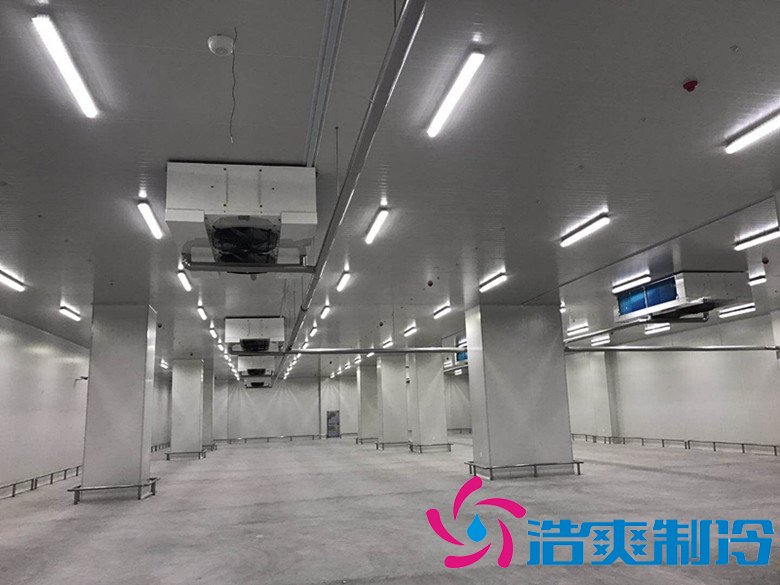 港口冷鏈冷庫市場趨勢和現狀，萬噸港口冷鏈低溫倉儲造價預算